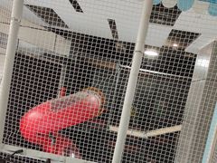 -嗨马乐动室内潮玩运动·团建·轰趴·桌游(南丰汇店)