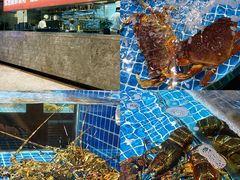 -名人名家     浙菜.家宴