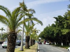 -黄金海岸环岛路