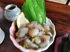 -千草屋日式料理·寿司