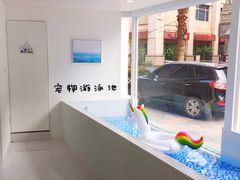 -BABYDOG宝贝狗宠物乐园(欧洲城店)