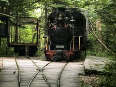 -五营红松林海景区