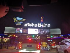 -枫花园汽车电影院(朝阳公园店)