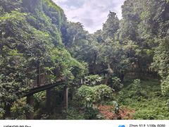 -张坝桂圆林公园
