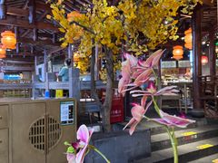 -卞氏菜根香(青羊万达店)