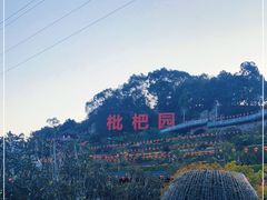 -枇杷园食为鲜火锅(南山店)