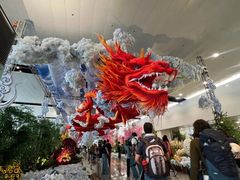 -河内内排国际机场