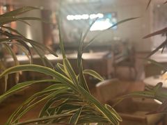 -浅深(北京北四环精品店)