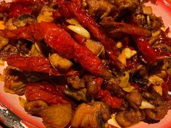 -柴窝堡22号辣子鸡·传承新疆菜