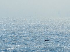 -广东惠东海龟国家级自然保护区