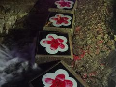 -颛顼龙洞旅游景区