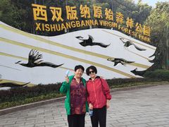 -西双版纳原始森林公园