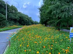 -广富林郊野公园