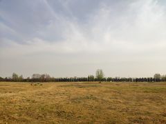 -汉长安城未央宫国家考古遗址公园