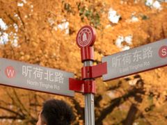 -四川大学(望江校区)