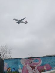 -小蜜蜂农场(凯德七宝购物广场店)