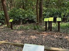 -同里国家湿地公园