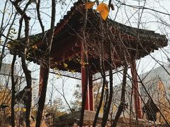 -元大都城垣遗址公园