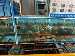 -蓝湾碧波·老字号·疍家非遗海上餐厅