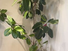 -像素研食The pixlab (皮市街店)