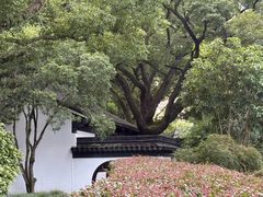 -上海醉白池公园
