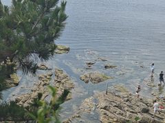 -养马岛旅游度假区