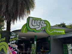-圣淘沙天际线斜坡滑车