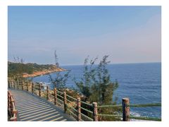 -广东惠东海龟国家级自然保护区