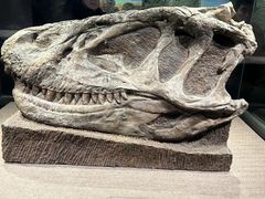 -自贡恐龙博物馆