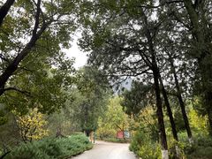 -北京鹫峰国家森林公园