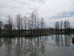 -九科绿洲