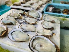 -南沙十九涌渔人码头-南门