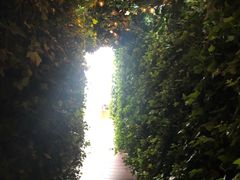 -顶层酒吧ROOF(上海艾迪逊酒店)