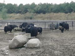-齐齐哈尔龙沙动植物园