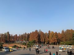 -东湖磨山景区