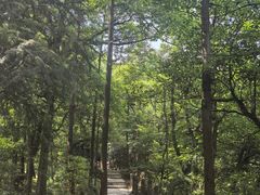 -青城山