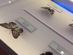 -浦乐汇·汤泉水世界