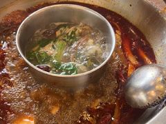 -金鼎雪山牦牛杂火锅(理县总店)