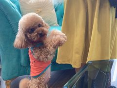 -尊卡诺高级西装礼服定制(江东中路店)