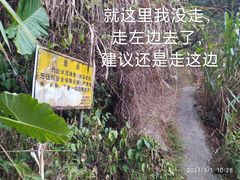 -梧桐山风景名胜区