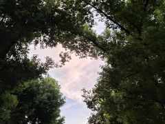 -堤角公园