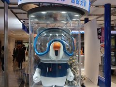 -神盾局密室逃脱(in77店)