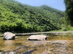 -白河湾生态旅游一条川