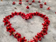 -风云岭森林公园