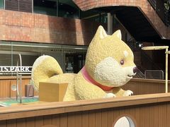 -新城市广场
