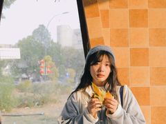 -西苑公园