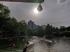 -晓港公园
