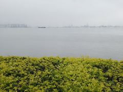 -海鸥岛