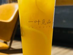 -一叶觅山(半边街店)