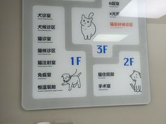 -申普宠物医院·心脏介入·心血管微创(总院)
